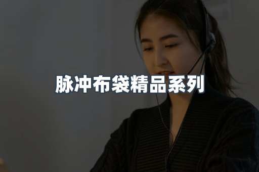 脉冲布袋精品系列